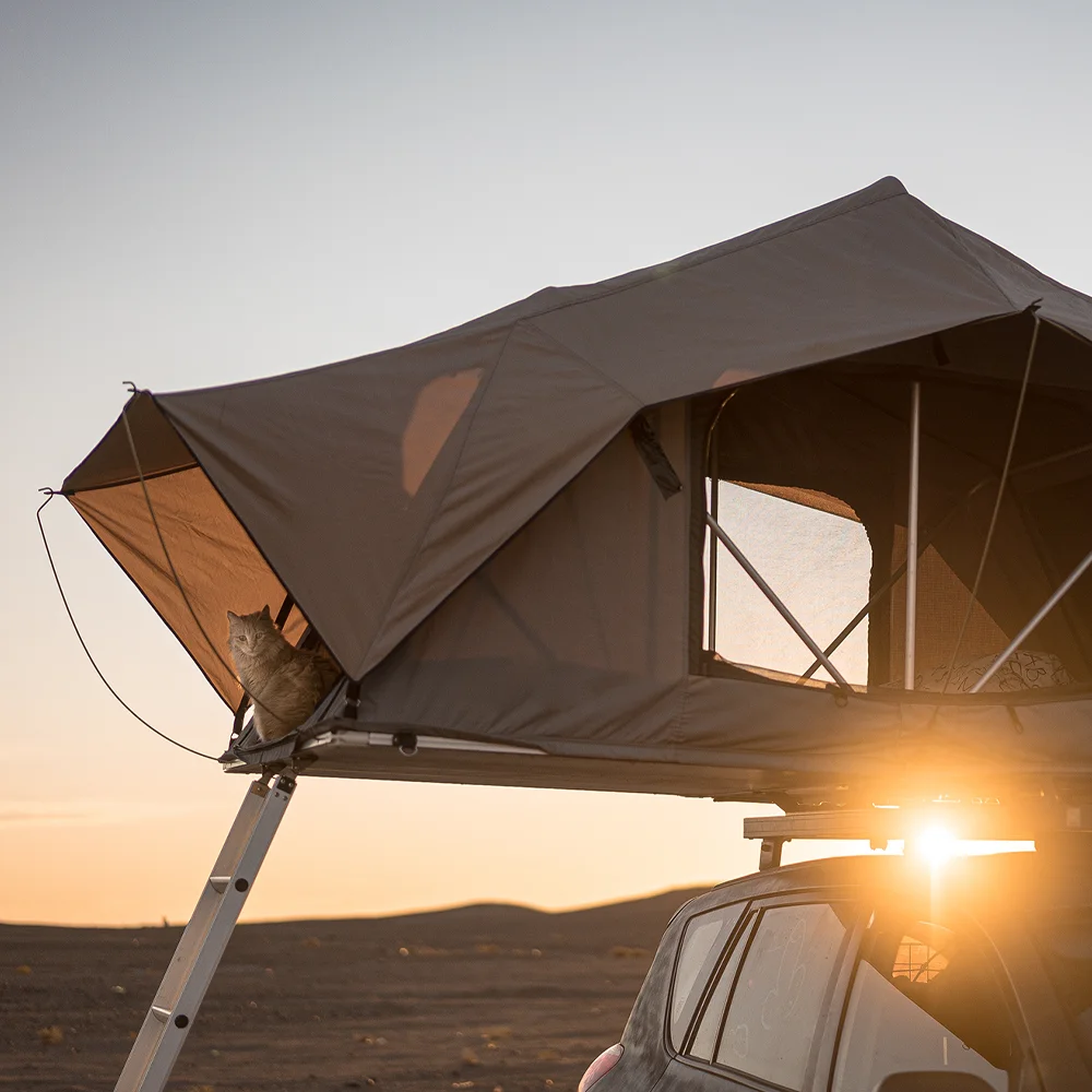 Tente de toit dépliée sur un véhicule au coucher du soleil avec un chat installé à l'entrée