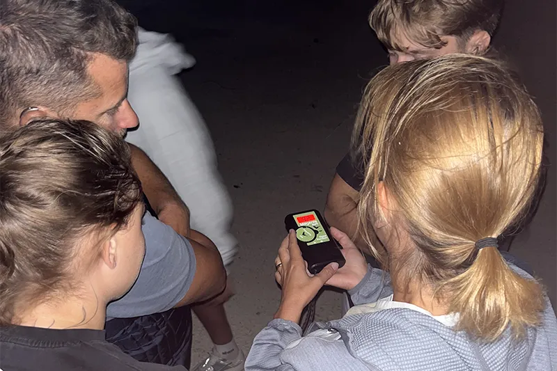 Discovering Bats